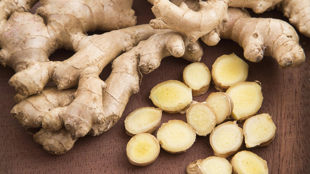 Jahe Zingiber officinale